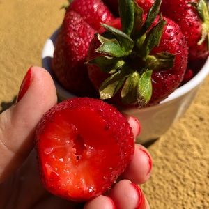 Meet your Posher, Jamie